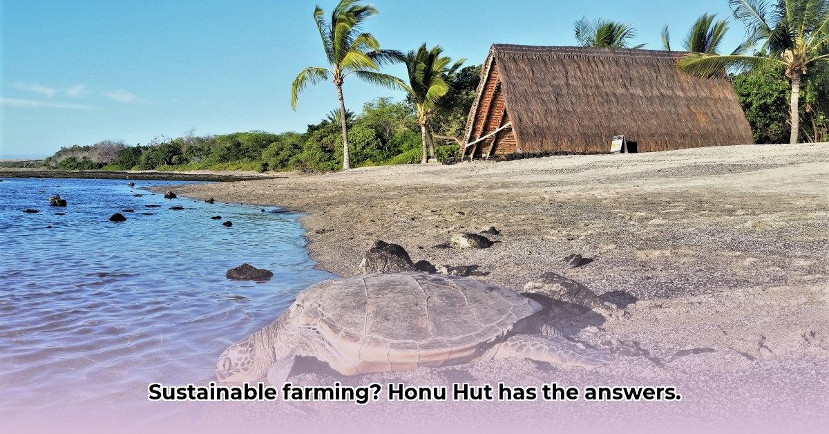 honu-hut